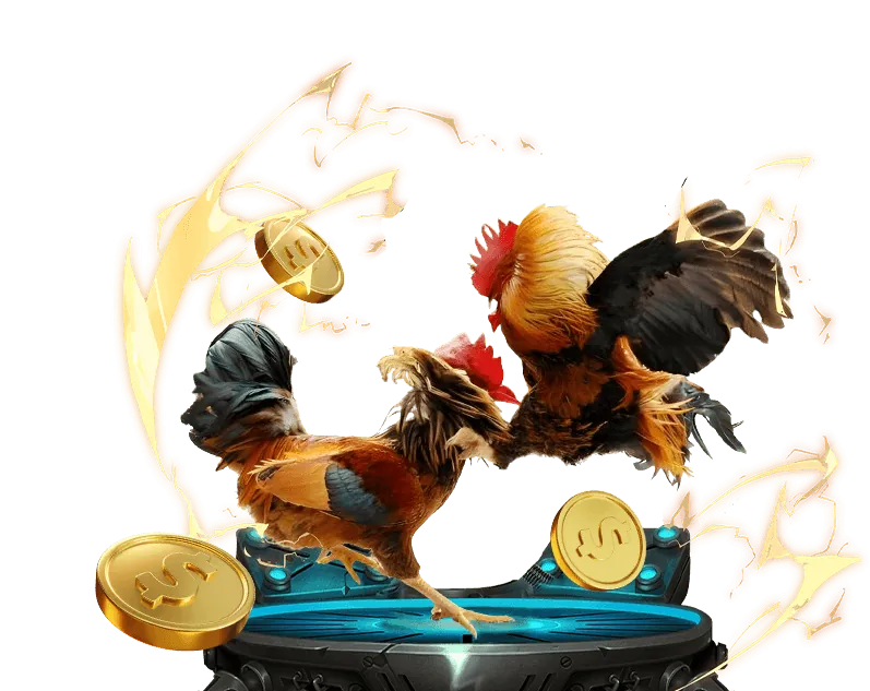 Mẹo xem đá gà trực tiếp an toàn